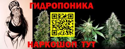 твердый Чапаевск