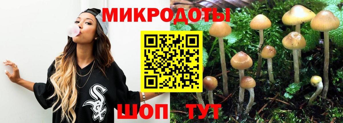 Галлюциногенные грибы Cubensis Рославль