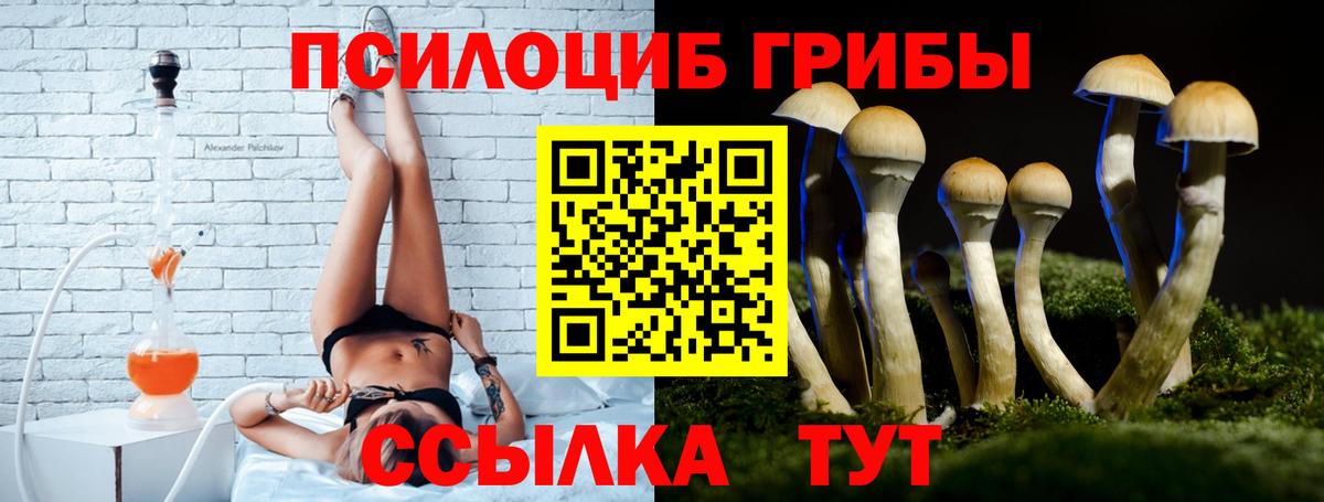 Рославль  цена   Вход с VPN  Псилоцибиновые грибы MAGIC MUSHROOMS  Псилоцибиновые грибы прущие грибы 